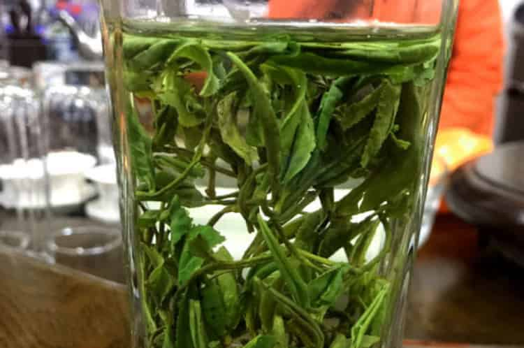 黃山野茶屬于什么茶_黃山野茶是什么品種？