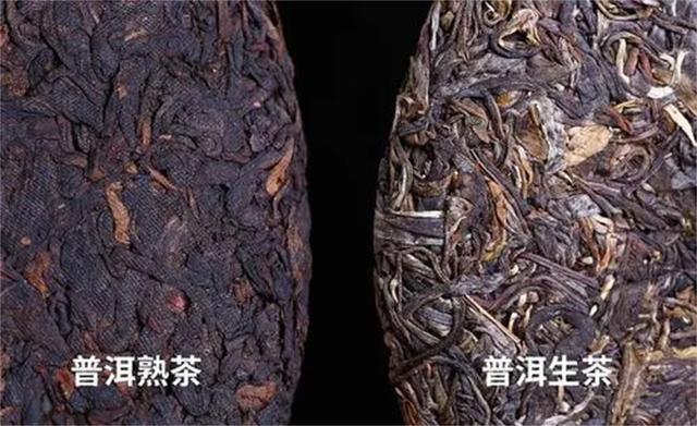 一克熟茶五億霉菌，一杯熟茶等于一杯臟水？普洱熟茶真的喝不