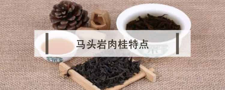 馬頭巖肉桂屬于什么茶（馬頭巖肉桂的特點(diǎn)）