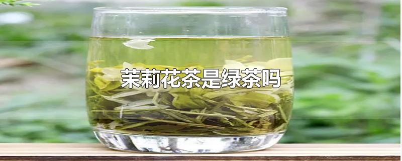 茉莉花茶是綠茶嗎（茉莉花茶是綠茶還是紅茶）