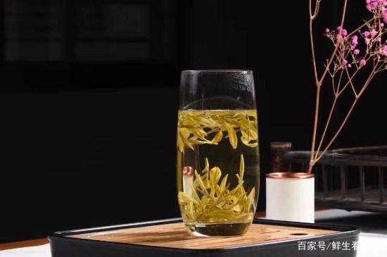 黃金芽是什么茶？