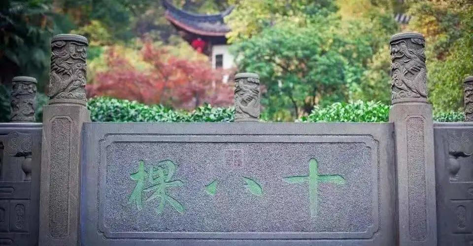 中國(guó)十大最貴排行榜(中國(guó)最貴的十大天價(jià)茶)