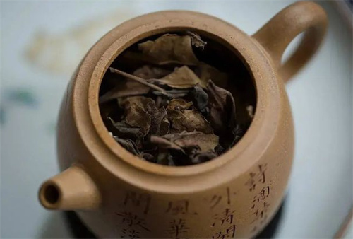 安吉白茶茶葉一年多了還能喝嗎