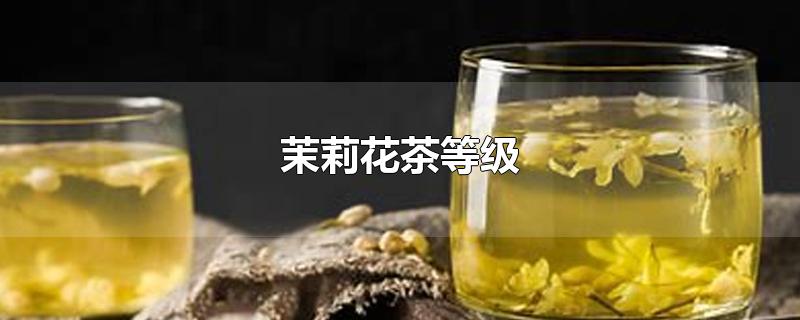 茉莉花茶等級(jí)（張一元茉莉花茶等級(jí)）