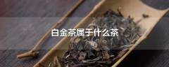 白金茶屬于什么茶（白金茶屬于什么茶種