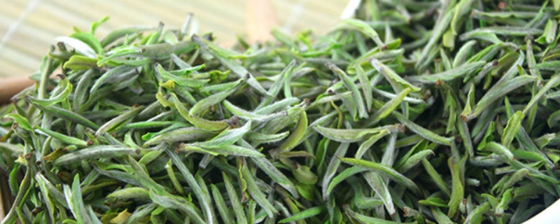 雀舌茶產(chǎn)地