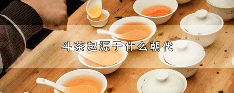 斗茶起源于什么朝代（斗茶起源于唐朝）