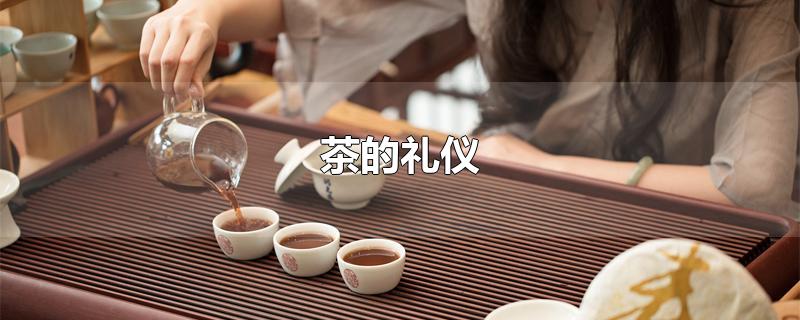 茶的禮儀（茶的禮儀小知識(shí)）