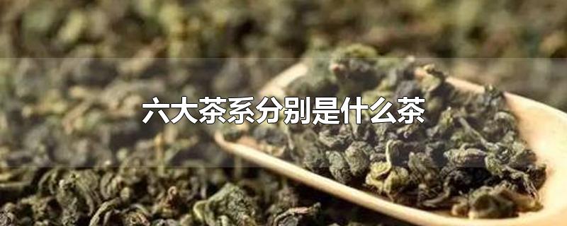 六大茶系分別是什么茶（中國十大名茶是哪十種）