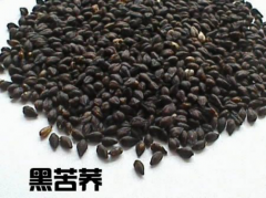 女人喝黑苦蕎茶有什么好處？愛美的你趕