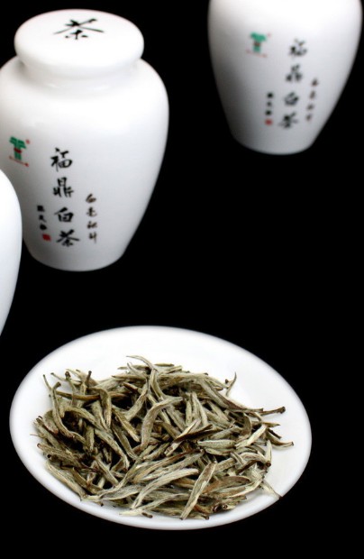 茶葉分享白毫銀針的優(yōu)勢介紹