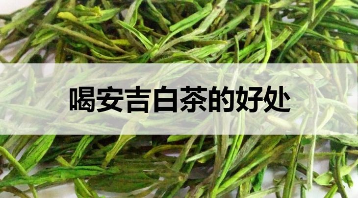 喝安吉白茶的好處有哪些？