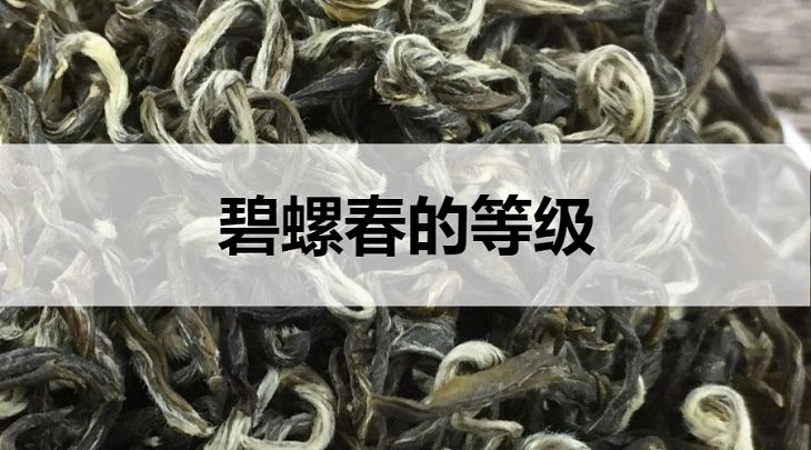 碧螺春的等級劃分