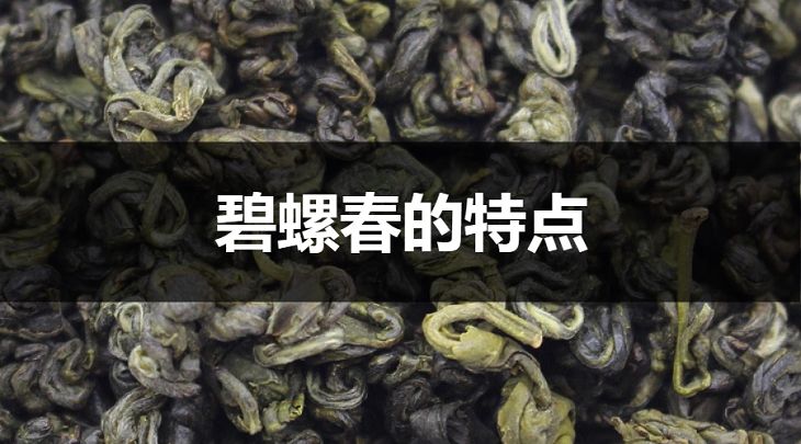 碧螺春的特點有哪些？