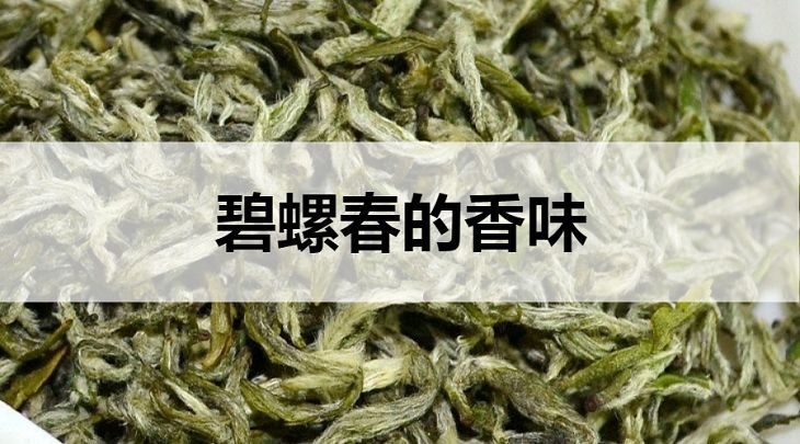 碧螺春的香味怎么樣？