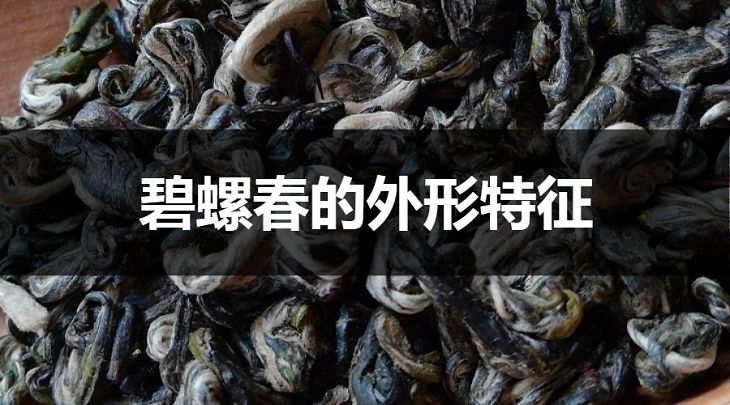 碧螺春的外形特征