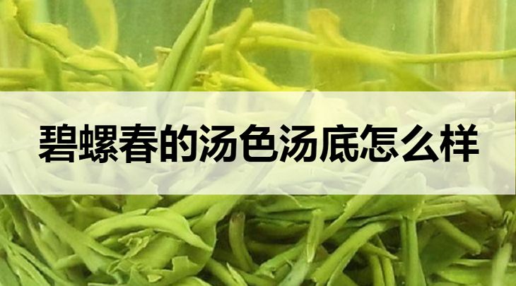 碧螺春的湯色湯底什么樣？