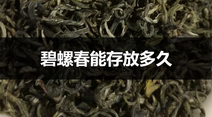 碧螺春能存放多久？