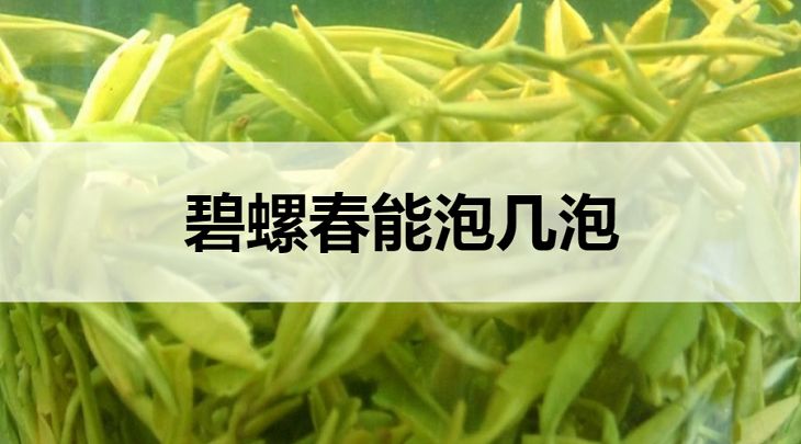 碧螺春能泡幾泡？