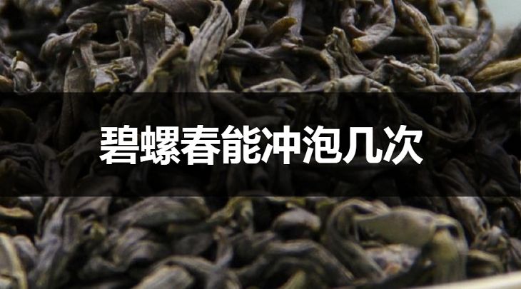 碧螺春能沖泡幾次？