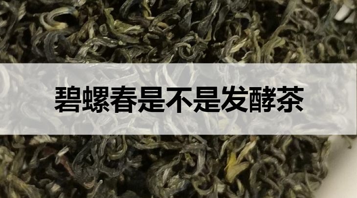 碧螺春是不是發(fā)酵茶？