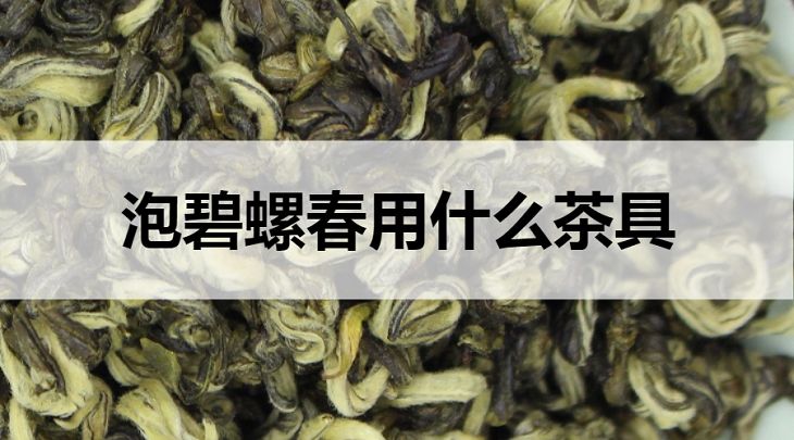 碧螺春用什么茶具泡？