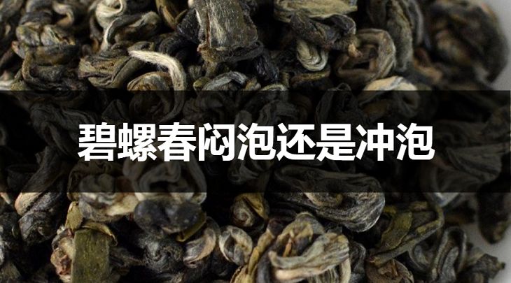 碧螺春悶泡還是沖泡？