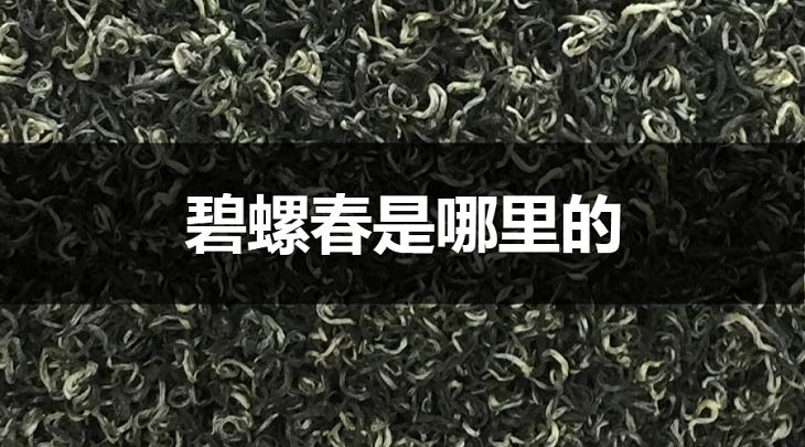 碧螺春是哪里的？