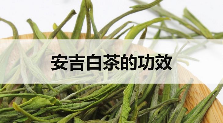 安吉白茶的功效有哪些？