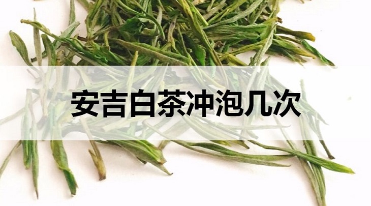 安吉白茶可以沖泡幾次？