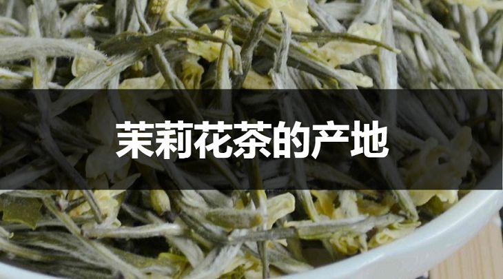 茉莉花茶的產(chǎn)地在哪里？