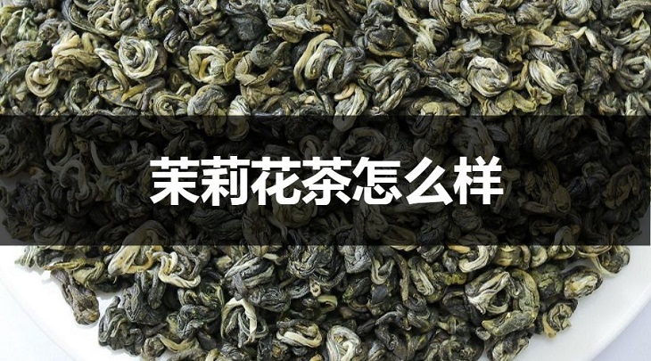 茉莉花茶怎么樣？