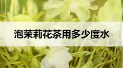 泡茉莉花茶要用多少度水？