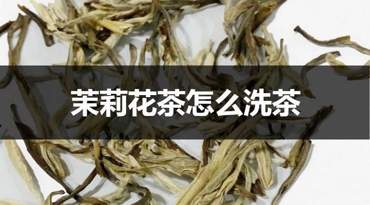 茉莉花茶怎么洗茶？