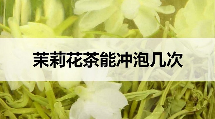 茉莉花茶可以沖泡幾次？