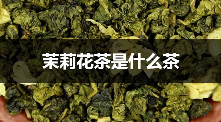 茉莉花茶是什么茶？