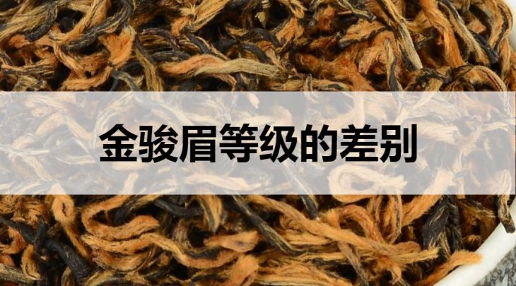 金駿眉等級(jí)的區(qū)別