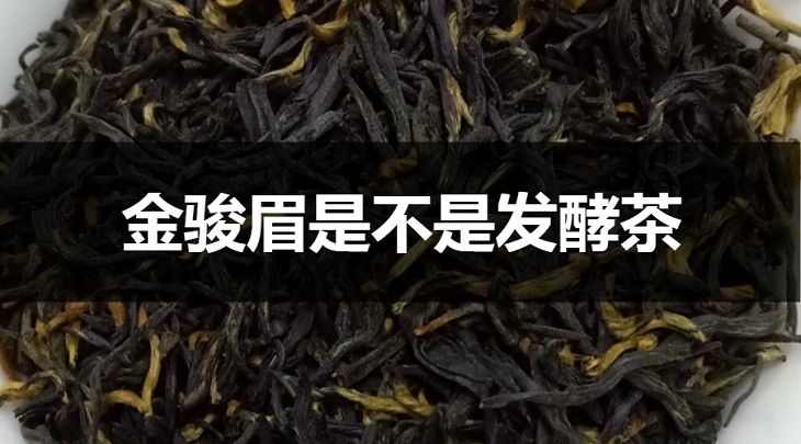 金駿眉是不是發(fā)酵茶？