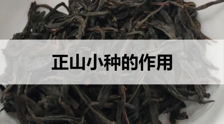 正山小種的作用有哪些？