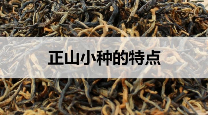 正山小種的特點(diǎn)有哪些？