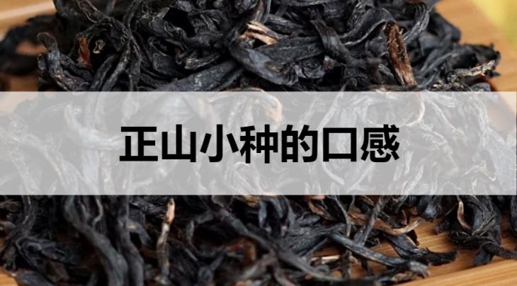 正山小種的口感怎么樣？