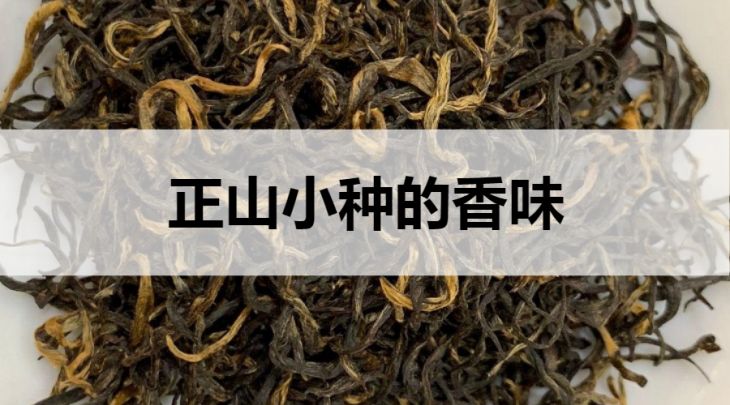 正山小種的香味怎么樣？