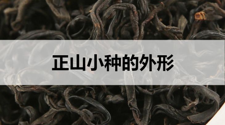 正山小種的外形什么樣？