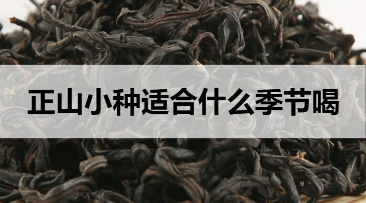 正山小種適合什么季節(jié)喝？