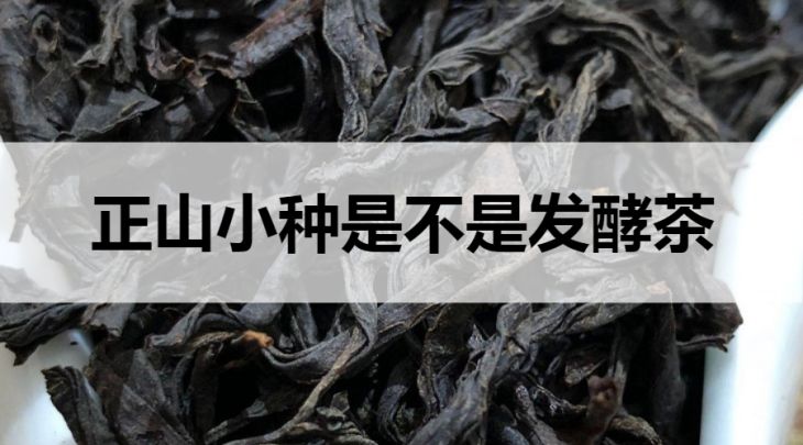 正山小種是不是發(fā)酵茶？