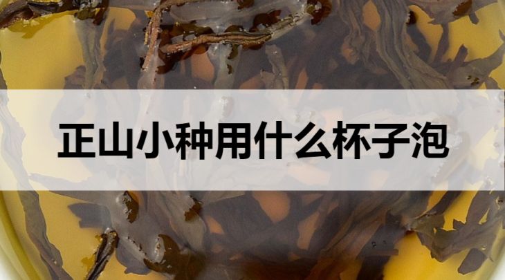 正山小種用什么杯子泡？