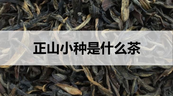 正山小種是什么茶？