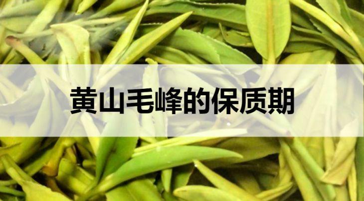 黃山毛峰的保質(zhì)期是多久？