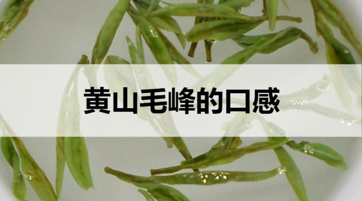 黃山毛峰的口感什么樣？