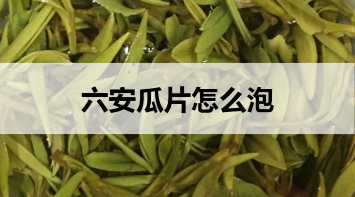 六安瓜片怎么泡？